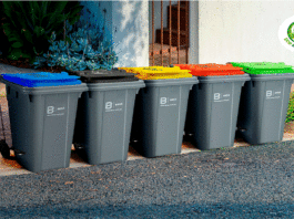 ¿Cómo reciclar correctamente en casa y contribuir con la sostenibilidad?