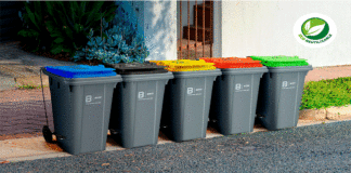 ¿Cómo reciclar correctamente en casa y contribuir con la sostenibilidad?