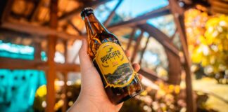 DörcherFest: Conoce cómo llegar a Pozuzo, la Esmeralda de la Selva.