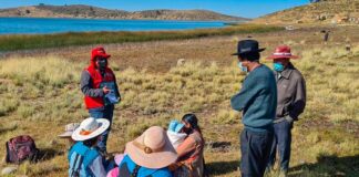 PIAS Lago Titicaca I realizó más de 50 000 atenciones tras exitoso despliegue en Puno.