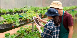 ¿Qué perfiles técnicos demandará la agroindustria hacia el 2023?