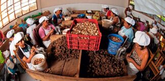 EMPRESAS COMUNALES PARTICIPARÁN EN PERUMIN 35 PARA EXPONER EXPERIENCIAS DE TRABAJO CONJUNTO CON COMPAÑÍAS MINERAS.
