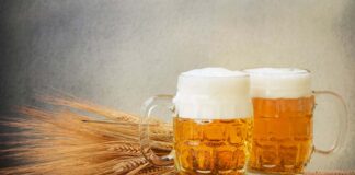 Día Internacional de la Cerveza: Producción nacional asciende a 14 millones de hectolitros.