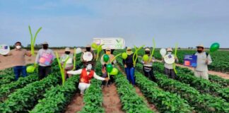 Virú S. A. es reconocida entre Los Mejores Lugares para trabajar América Latina 2022 por Great Place to Work.