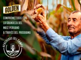 Programa “Herederos del Campo” y la compra local de maíz mejorará la productividad y la gestión de 12500 familias dedicadas al agro en San Martín y Lambayeque