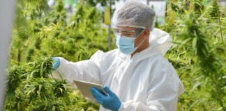 Khiron presente en el 1er Congreso Internacional del uso médico de Cannabis y Enteógenos en Perú.