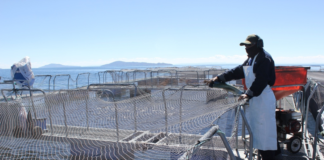 ADEX RESALTA PLAN DE IMPULSO AL CRECIMIENTO ECONÓMICO DEL MEF.