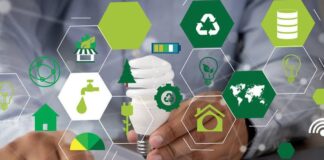 4 Claves para alcanzar una sostenibilidad empresarial exitosa