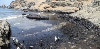 Repsol elaborará plan de rehabilitación ambiental en las zonas definidas por la autoridad