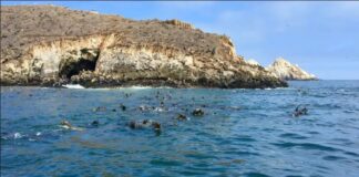 Cinco tours para disfrutar del mar y los primeros rayos del sol
