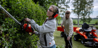 Áreas verdes: Nuevas tendencias de jardinería para espacios urbanos.