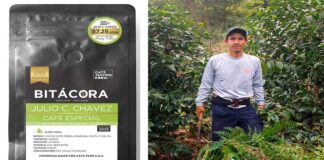 Tendencias y proyecciones del café de especialidad en el Perú y el lanzamiento de Bitácora Julio C. Chávez, el mejor café de especialidad del mundo