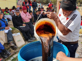 Agricultores se capacitaron para la creación de fertilizantes naturales en Tambo Vista Alegre en Huancavelica.