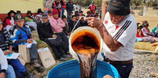 Agricultores se capacitaron para la creación de fertilizantes naturales en Tambo Vista Alegre en Huancavelica.