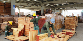 PRODUCTOS SEMIMANUFACTURADOS DE MADERA SUFREN RETROCESO.