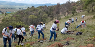 Genomma Lab ha beneficiado a 32 mil personas con acciones de sostenibilidad en 2022.