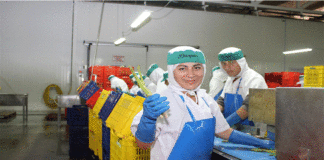 EXPORTACIONES MANTUVIERON UN STOCK DE 3 MILLONES 615 MIL EMPLEOS