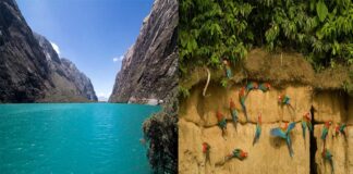 PROMPERÚ se une a Guardianes de la Naturaleza de WTTC y reafirma su compromiso con la sostenibilidad medioambiental