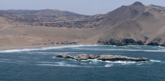 Las condiciones están dadas para la reactivación de la pesca y la reapertura de playas.