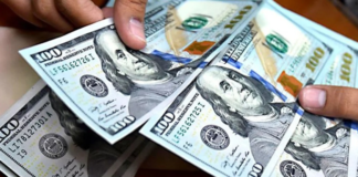 PERÚ: MERCADO DE DIVISAS CRECIÓ 13% DURANTE EL PRESENTE AÑO.