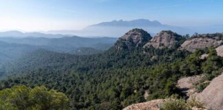 Huawei e IUCN lanzan proyecto para estudiar impacto de turismo en biodiversidad