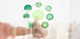 Día Mundial de la Educación Ambiental: conoce cómo las empresas pueden generar un impacto positivo