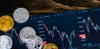 La caída del Fan token de la Selección Peruana
