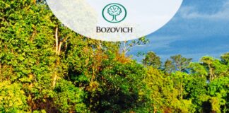 MADERERA BOZOVICH: “Apostamos por el sector, la Amazonía peruana y su conservación”