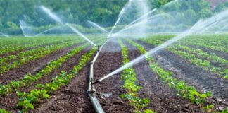 ¿CÓMO MEJORAR EL USO EFICIENTE DEL AGUA EN LA AGRICULTURA?