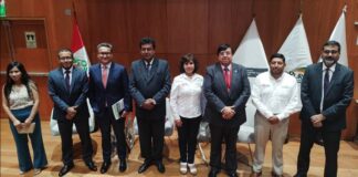 SOUTHERN PERÚ, MIDAGRI Y AGRO RURAL REHABILITARON 1078 HECTÁREAS DE ANDENES EN BENEFICIO DE 2,366 FAMILIAS DE CANDARAVE