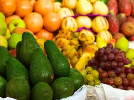 AGROEXPORTACIONES SUPERARÍAN LOS US$ 10 MIL MILLONES ESTE 2023