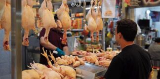 MIDAGRI: «Precio del pollo podría subir hasta S/15 soles»