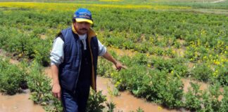 NUEVO NIÑO COSTERO AFECTARÍA EL 16,7% DEL PBI Y AL 20% DEL EMPLEO FORMAL