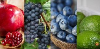 EXPORTACIONES AGROPECUARIAS NO TRADICIONALES CRECIERON 18,8% EN FEBRERO