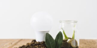 ¿Cómo hacer un negocio sostenible y rentable? 7 claves para lograrlo
