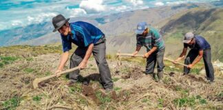 SAC reconoce pago de S/ 24 millones