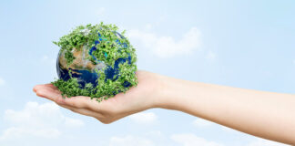 Cuando ‘verde’ no es realmente verde: el problema con el Greenwashing