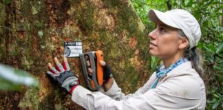 Audi Perú comprometido con la protección de 160 mil metros cuadrados de bosque Amazónico