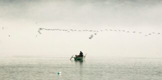Día Mundial del Clima: ¿Qué papel juega Perú en la producción de alimentos con menor huella ambiental?