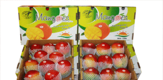 Buscan impulsar exportación de frutas frescas y congeladas a Japón