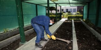 Clínica Stella Maris procesó más de 36 toneladas de sus residuos orgánicos para convertirlo en abono