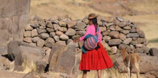 PUNO: Pobreza afecta al 43,3% de la población e informalidad laboral al 90,2% de trabajadores