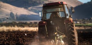 Agroindustria: el renting es una solución rentable y eficiente frente a la problemática en el sector