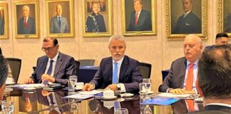 Adex instó a gobierno de la AP proteger la institucionalidad