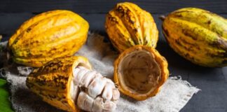 Agroexportaciones sumaron US$ 3 mil 928 millones en el semestre del año
