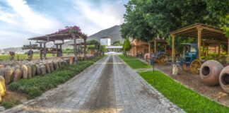 Hotel Viñas Queirolo, la joya del enoturismo, donde disfrutar de experiencias y hospitalidad de lujo en la región Ica en Perú