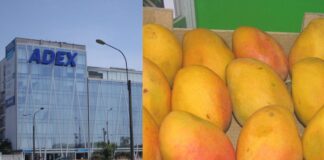 Envíos agroindustriales a EE.UU. sumaron US$ 1,089 millones a junio