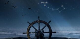 Baufest presenta Polaris: un nuevo concepto multimedial que marca el norte en la tecnología y los negocios