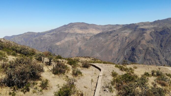 revistaeconomia - 2023-09-06T092638.204