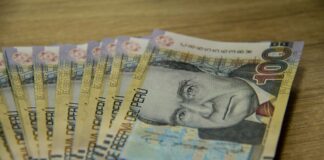 Presupuesto público 2024: ¿qué sectores se han priorizado?